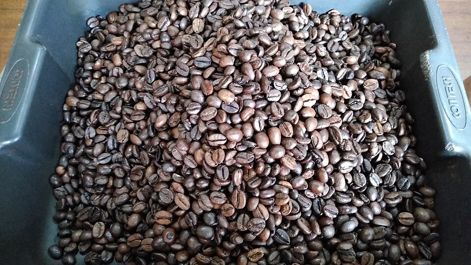 Thailand Doi Chaang